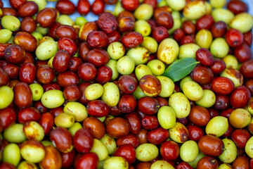 Green and red olives harvested for olive oil production, fresh Mediterranean fruit, natural healthy farming, organic farming, healthy lifestyle, rustic seasonal harvest, healthy-food