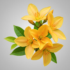 Golden Flowers with Green Leaves and Modern Geometric Background