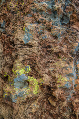 The texture and colors  of a rock in the desert, macrophotography captured in La Candelaria desert, in the eastern Andean mountains of central Colombia, near the town of Raquira.
