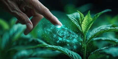 A hand hovers over a plant with a glowing, digital overlay