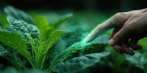 A hand touches a plant with digital overlay