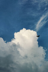 Majestic Cumulus Cloud and a Lone Bird Flying Against a Deep Blue Skyclouds in the sky.