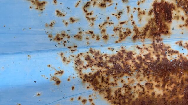 Blue rusty metal surface, closeup