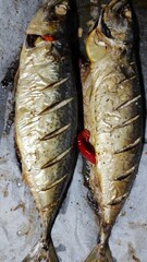 Baked mackerel with lemon and chili pepper
