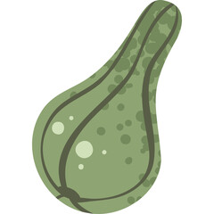 A green oblong gourd with dark green stripes and lighter green circular spots has a smooth texture and a curved stem visible at the bottom on a transparent background