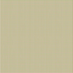 	
green gingham fabric	