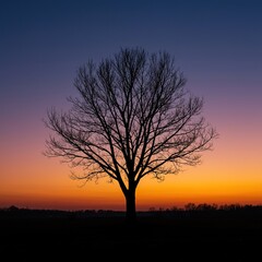 Dramatic black outline of a solitary bare tree reaching towards a vibrant, colorful sky at dawn, creating a striking visual contrast ,scenic ,serene ,evening