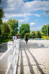 Horse rider training in white paddock equestrian arena landscape on a beautiful day
