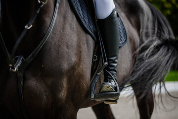 A professional female rider saddles a dressage horse during training or competition—an unrecognizable close-up, focusing on the boots in the stirrup. Conceptually, it depicts love for animals and hobb