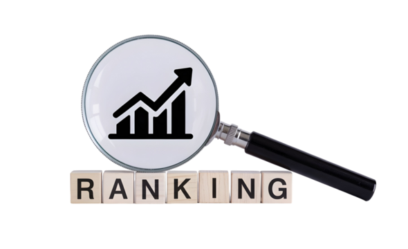 Elevate your website ranking and amplify business performance, using SEO and analytics to achieve growth and success, magnifying results for optimal marketing