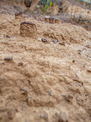 Sedimented mud from the soil eroded by water, in La Candelaria desert, in the eastern Andean mountains of central Colombia, near the town of Raquira.