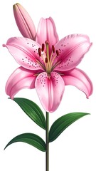 Naklejka premium Realistic illustration of a pink lily flower with details