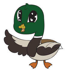 Canard a colvert