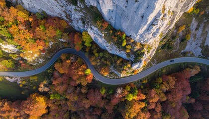 Aerial top view of a winding mountain road through vibrant red and orange autumn forest