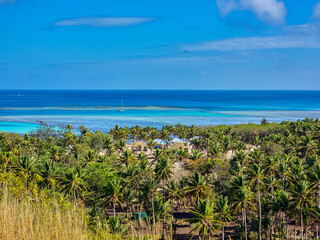 Palm Trees Along the Blue Lagoon