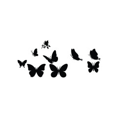 Butterfly silhouette 