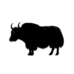Silhouette of a yak, a large, long-haired bovine native to the Himalayas, depicted in black.