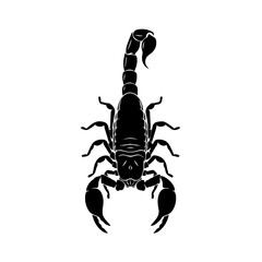 Black scorpion vector illustration on a white background, viewed from above with its tail curled.