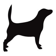 Dog Vector