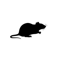 Black silhouette of a rat or mouse, a small rodent, isolated on a white background, representing a common pest.