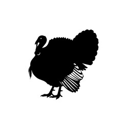 A black silhouette of a turkey with its tail feathers fanned out, isolated on a plain white background.