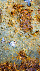 the old sheet metal was painted with blue paint and covered with rust