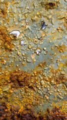 the old sheet metal was painted with blue paint and covered with rust