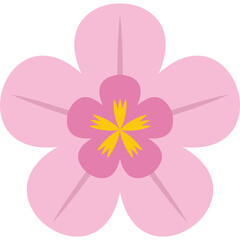 Simple Pink Cherry Blossom Flower With Yellow Center On Transparent Background