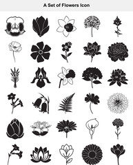 Elegant Botanical Flower Icons A Diverse Set of Nature Silhouettes