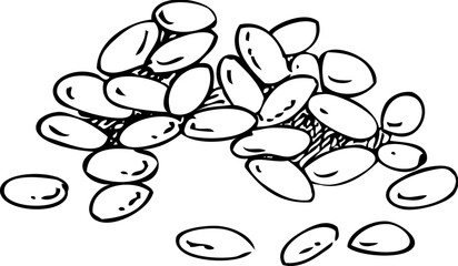 Finger lime - citrus plant sketch. Super fruit hand drawn vector illustration. Healthy food drawings. NOT AI generated