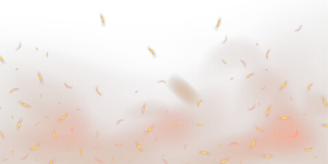 fire embers or spark particles with transparent background Fire sparks isolated on transparent background. Glowing Fire particles embers sparks. Orange glitter particles Flying up.