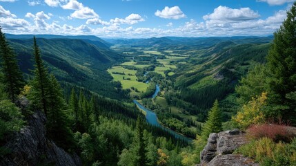 Obraz premium Expansive Green Valley with Winding River and Lush Forests Under a Blue Sky with White Clouds