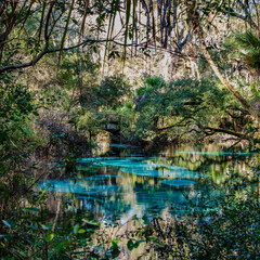 A scene of serenity encompasses the turquoise waters of Juniper Springs, Florida with its quaint humped back wooden bridge draws the eye deep into the image