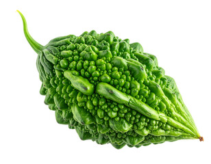  - Fresh Green Bitter Melon Isolated on Transparent Background 