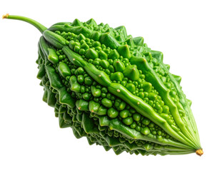 Fresh Green Bitter Melon Isolated on Transparent Background