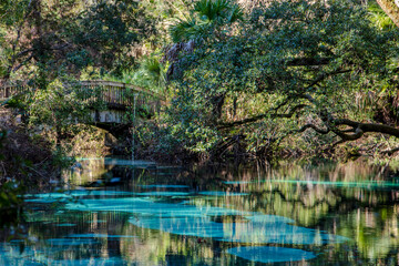 A scene of serenity encompasses the turquoise waters of Juniper Springs, Florida with its quaint humped back wooden bridge draws the eye deep into the image
