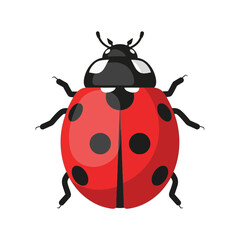 Vibrant Ladybug Illustration A Detailed Vector Design of a Red and Black Insect