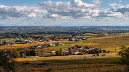 Fototapeta premium Paysage du vignoble du Beaujolais dans le département du Rhône à l'automne autour du village de Odenas