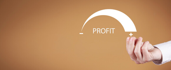 Profit level meter. Business. Finance