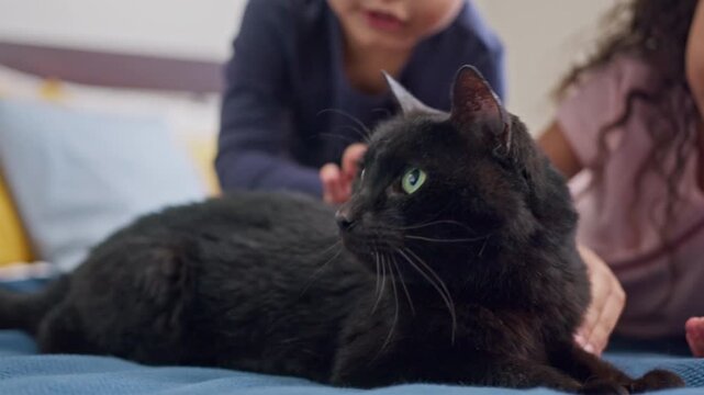 To Girls Petting A Black Cat