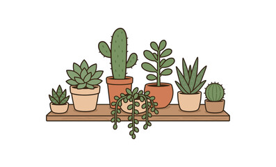 succulent shelf indoor plant arrangement for small apartments flat vector illustration style isolated on white background