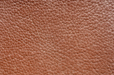 Genuine leather with texture.Grainy leather top grain.
