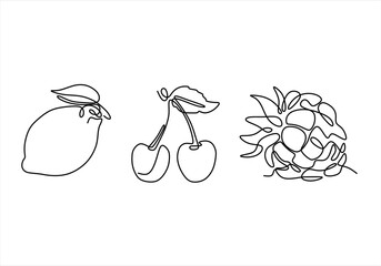 Continuous Line Art Fruits Lemon Cherries Raspberry. line icon-continuous line drawing. Editable stroke. 