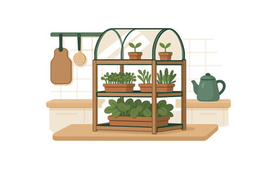 Fototapeta premium miniature greenhouse shelf kitchen sustainable microgardening solution flat vector illustration style isolated on white background