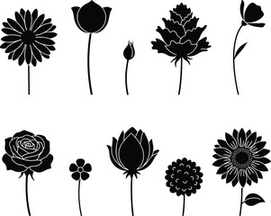Floral silhouette collection, botanical vector shapes, black flower icons, minimalist bloom design, nature clipart, tulip rose daisy lotus bundle