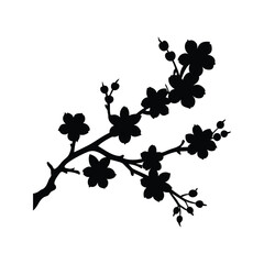 Silhouette of blossoming cherry tree branch against a white background in spring, cherry blossom branch silhouette vector illustration