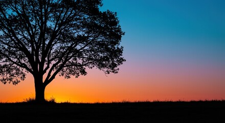 Fototapeta premium Elegant tree outline against a vibrant, colorful sky, capturing a serene moment of nature's artistry and striking contrast ,atmospheric ,outdoor ,simplicity