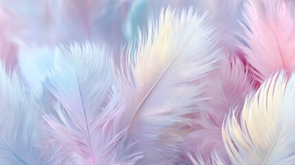Obraz premium A soft, pastel-colored background of delicate feathers in shades of blue, pink, and white, creating a serene and ethereal atmosphere.