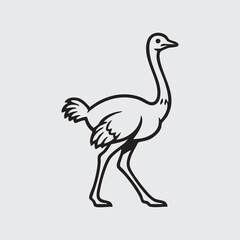 vector illustration of an ostrich