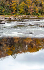 Autumn River Reflection with Flowing Water and Forest Mirror Effect